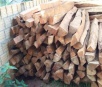 Homem é autuado por oferecer madeira ilegal em site de compra e venda