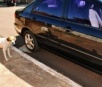 Cachorro chama a atenção em cidade por “perseguir” Corollas da cor preta