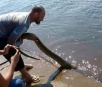 PMA vasculha pousadas atrás de turista que puxou sucuri do rio