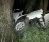 Produtor rural morre após bater veículo em árvore na BR-267
