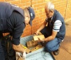 Vendedores de castanha são presos em Dourados com maconha em malas