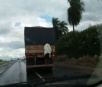 Polícia flagra homem viajando pendurado em caminhão; veja vídeo