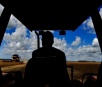 Agropecuária tem melhor saldo de empregos em Mato Grosso do Sul