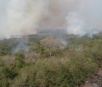 Em sete dias, queimadas destroem o equivalente a 34 mil campos de futebol em município no Pantanal de MS