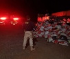 Polícia apreende 5 toneladas de maconha escondidas em carga de ração em rodovia de MS
