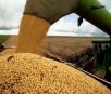 Safra nacional de grãos deve ter queda de 6% neste ano, diz IBGE