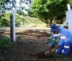 Sanesul planta mais de 4 mil mudas no Dia da Árvore no Estado