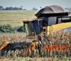 Famasul encontra produtores animados com preço do milho e estimativa de 76 sacas por hectare