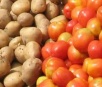 Com boa safra, tomate e batata ficam mais baratos e derrubam preço da cesta