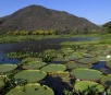 Governo foca na fiscalização e decreta primeiras regulamentações da Lei do Pantanal