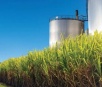 Preços do etanol sobem em fevereiro, penúltimo mês da safra 2023/24