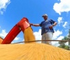 Mato Grosso do Sul tem 2,4 milhões de hectares da safra de soja colhidos