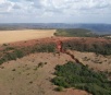 Mato Grosso do Sul realiza maior projeto de restauração do país