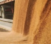 Brasil deve exportar mais de 14 milhões de toneladas de soja em março, prevê Anec