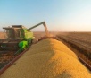Colheita da soja supera 3,7 milhões de hectares em Mato Grosso do Sul