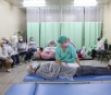 MS Saúde: governo divulga lista de hospitais autorizados a oferecerem cirurgias ortopédicas
