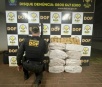 DOF prende homem com quase R$ 700 mil em maconha em Dourados