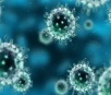 Pesquisa decifra mecanismo chave de infecção do vírus da herpes