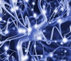 Nova descoberta pode levar a cura de Alzheimer