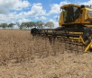 Colheita da soja chega a 23% das lavouras do estado, segundo Aprosoja/MS