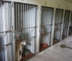 Prefeitura anuncia "UPA-PET" e retoma castração de animais no CCZ