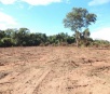 Proprietário rural é multado em R$ 9 mil por desmatamento ilegal