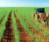 Mato Grosso do Sul tem 2º município que mais produz cana