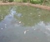 Vazamento de esgoto mata 5 mil peixes em Dourados, MS