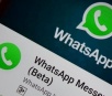 WhatsApp Beta libera função que exibe notificações priorizadas pelo usuário