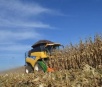Com início da colheita e aumento da oferta, preço do milho cai 10% em MS