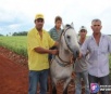Em Douradina, cavalo guiado por garoto de 9 anos vence corrida e leva aposta de R$ 2 mil (Veja o víd