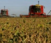 Paraguai é reconhecido como o 3º maior exportador de soja