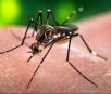 Dengue causa a primeira morte do ano em Bonito, segundo secretaria