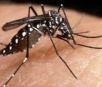 Nova classificação de casos de dengue é debatida em Oficina Estadual da SES