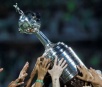 Termina a fase de grupos da Libertadores; 6 times brasileiros avançam
