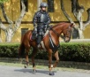 Tropa de Choque reforça proteção para cavalaria durante a Copa em SP