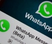 WhatsApp começa a liberar ligações de vídeo em grupos em sua versão Beta