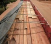 Em MS, empresa é multada em R$ 8 mil por transporte ilegal de madeira