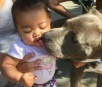 Pitbull puxa bebê pela fralda para salvá-la de incêndio nos EUA
