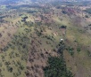 Pecuarista de Guia Lopes é multada por desmatar 4,5 hectares em assentamento
