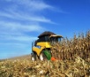 Agricultores de MS já colheram 1,4 milhão de tonelada de Milho