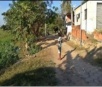 Onças-pintadas podem estar na área urbana de Corumbá