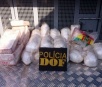 DOF faz apreensão de cocaína na MS 270, próximo a Itaporã