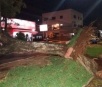 Chuva e ventania derrubam árvores e provocam interdições de ruas em Dourados