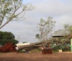 Placar da destruição em Bandeirantes: 150 casas, 100 árvores, duas escolas e um hospital