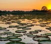 Lideranças do Pantanal apresentarão Plano de Desenvolvimento à comunidade