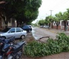 Com ventos de até 70 km/h, temporal derruba árvores e galhos em Aquidauana
