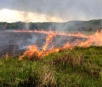 Dezembro já registra aumento de 85% nos incêndios florestais no MS
