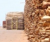 Lei obriga produtores de madeira a repassarem 22 milhões ao Fundersul