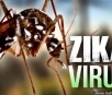 11 cidades de MS registraram casos confirmados de Zika em 2018